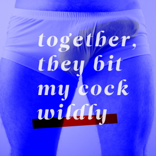 Together, they bit my cock wildly  Sex  Confess | XConfessions Porn for Women