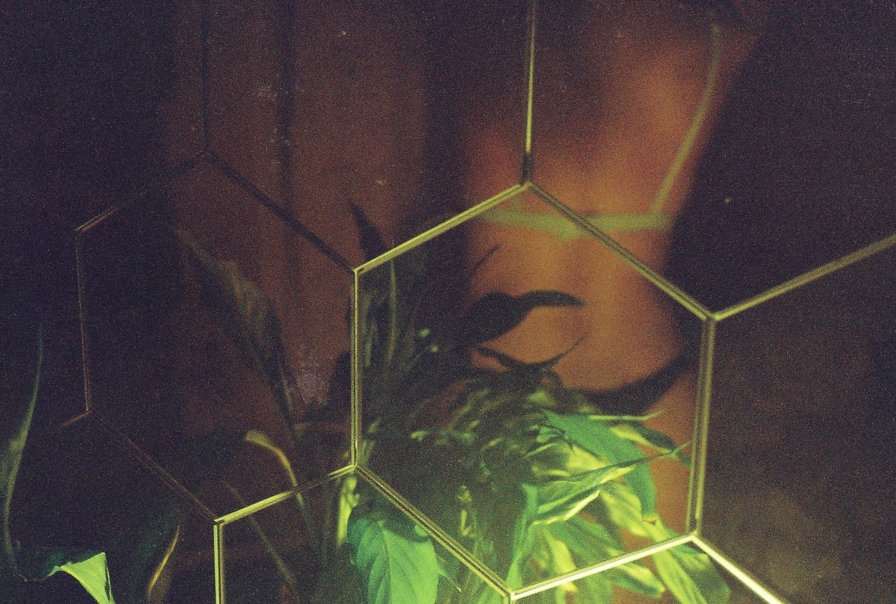 sigilosamente, cogí la cámara de vídeo  Sex  Confess | XConfessions Porn for Women