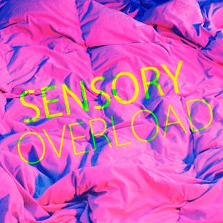 Sensory Overload  Sex  Confess | XConfessions Porn for Women