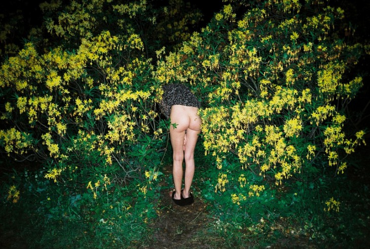 Locura em um parque  Sex  Confess | XConfessions Porn for Women