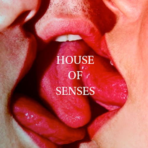 House of Senses  Sex  Confess | XConfessions Porn for Women