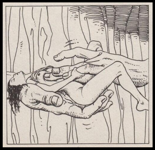 His Body  Sex  Confess | XConfessions Porn for Women