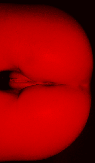 The female cat at the rooftop  Sex  Confess | XConfessions Porn for Women