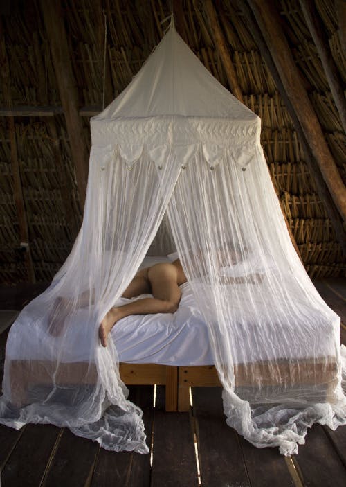 500px x 500px - Mosquito Net Porn | Sex Pictures Pass