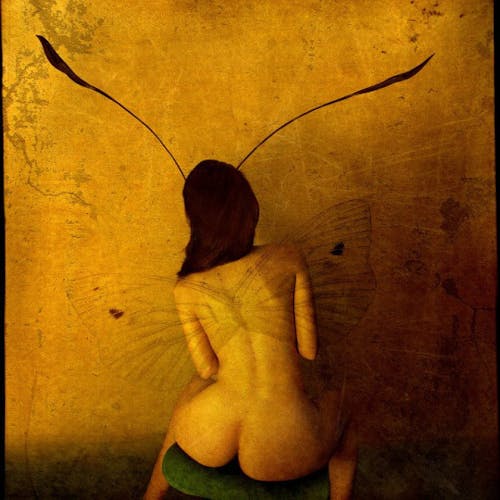 Tori   Sex  Confess | XConfessions Porn for Women